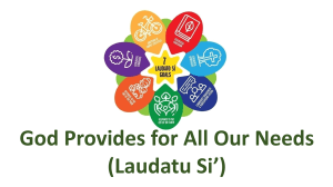 Laudato Si': Environmental Stewardship & Social Responsibility