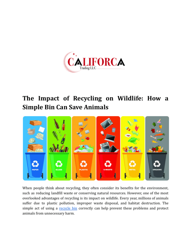 Recycling's Impact on Wildlife: Save Animals with a Simple Bin