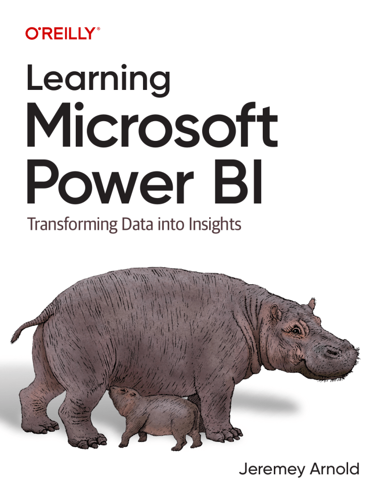 Learning Microsoft Power BI: Data Insights Guide