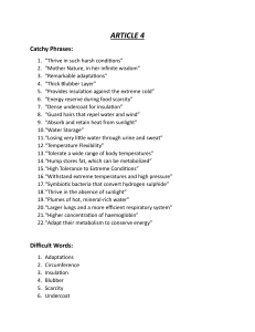 Adaptations to Extreme Environments: Phrases & Vocabulary