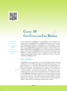 Cell Cycle and Cell Division: Biology Textbook Excerpt
