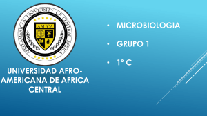 Microbiolog&iacute;a: Bacterias Gram-Positivas Esporulantes