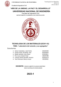 Informe de Laboratorio de Cemento y Agregados - Ing. Civil UNI