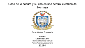 Caso basura y su uso en una central electrica de biomasa VES
