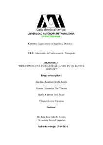 Informe de laboratorio: Difusión de alumbre y análisis de transferencia de masa