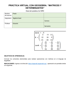 Practica Algebra lineal