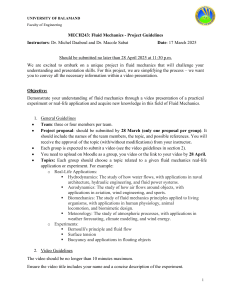 Fluid Mechanics Project Guidelines - University of Balamand