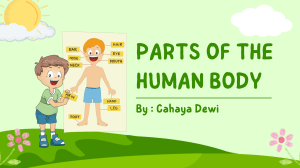 Human Body Parts & Health: Elementary Education