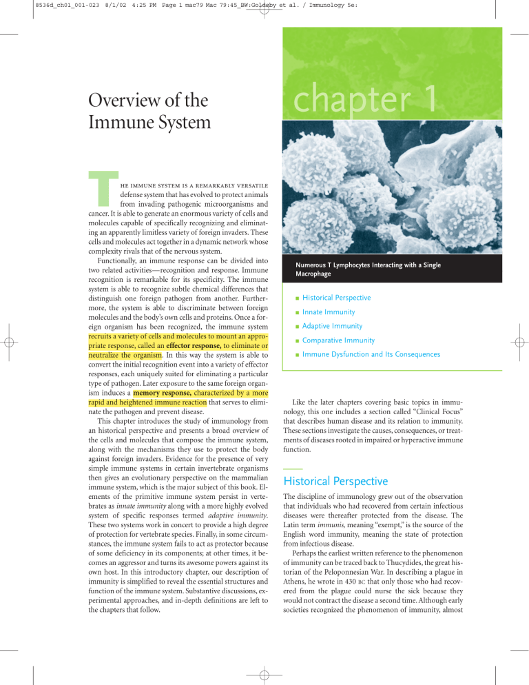 Immunology: Overview of the Immune System