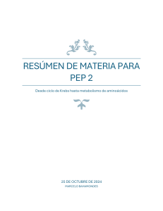 Resumen del Ciclo de Krebs y Metabolismo de Aminoácidos