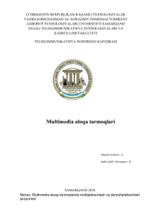 Multimedia Multiplekslash Kurs ishi