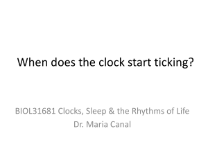 Circadian Rhythm Development: Maternal Effects & Light Impact