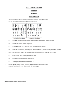 Year 12 Biology Worksheet: Karyotypes & Microscopy