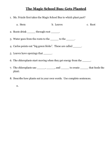 Magic School Bus: Plant Biology Worksheet