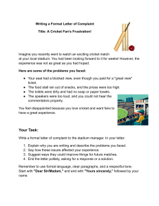 Formal Complaint Letter: Cricket Fan Example
