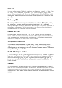 Essay on Life: Meaning, Challenges, and Relationships