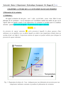 Cavitation dans les pompes : &Eacute;tude et pr&eacute;vention