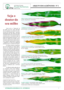 Guia de Defici&ecirc;ncia de Nutrientes em Milho