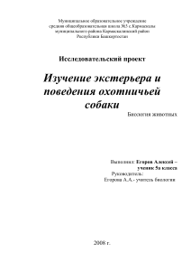 Экстерьер и поведение охотничьей собаки: Исследовательский проект
