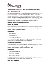 Snowflake Training: Top Industries & Career Opportunities