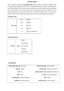 Soldier's Fighting Order: Uniform, Weapon & Equipment