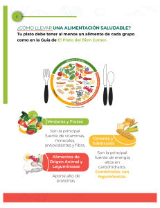 Gu&iacute;a de Alimentaci&oacute;n Saludable: El Plato del Bien Comer