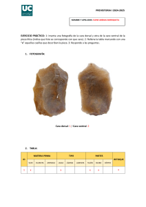 Ejercicio de An&aacute;lisis L&iacute;tico en Prehistoria