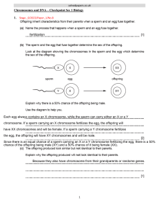Chromosomes & DNA: Checkpoint Biology - Sex Determination