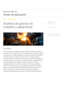 Análisis de granos en metales y aleaciones: Nota de aplicación