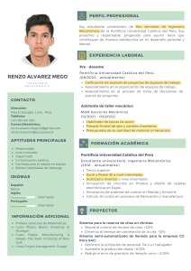 Renzo Alvarez Mego - Curr&iacute;culum Ingenier&iacute;a Mecatr&oacute;nica