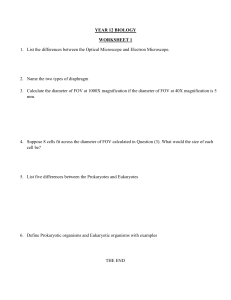 Year 12 Biology Worksheet: Microscopy & Cell Biology