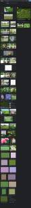 Trichy Hyacinth Blocks: Water Hyacinth Information