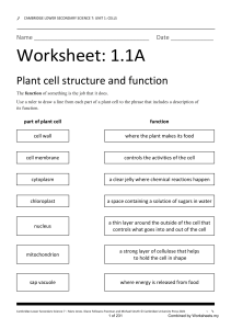 Plant Cell Structure & Function Worksheet - Middle School Science