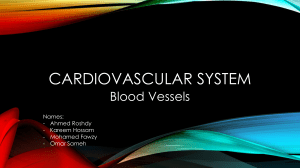 Cardiovascular System: Blood Vessels - Anatomy & Diseases