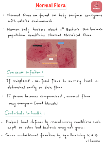 Normal Flora: Definition, Function, and Fecal Bacteriotherapy