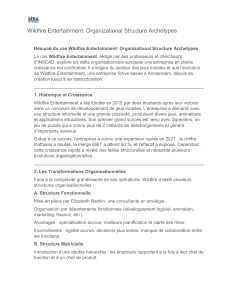Wildfire Entertainment: &Eacute;tude de cas structure organisationnelle