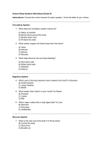Human Body Systems Worksheet - Grade 5