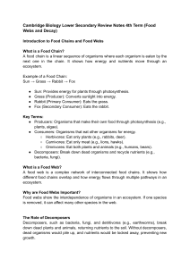 Food Webs & Decay: Cambridge Biology Review Notes