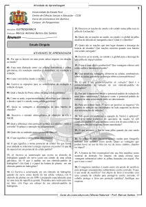 Guia de Estudo de Eletroquímica: Células Galvânicas e Baterias