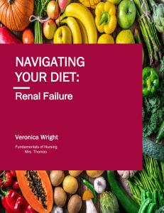 Renal Failure Diet: Nutritional Guidelines & Meal Plans