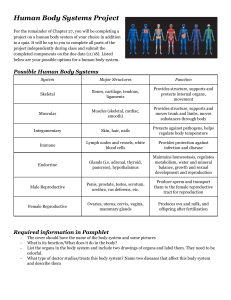 Human Body Systems Project Instructions & Rubric