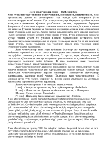 Жалпақ құрттар (Plathelminthes): Шығу тегі, Эволюциясы және Кластары