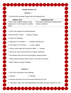 Biology Revision Test: Middle School Study Guide