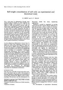 Self-Weight Consolidation of Soft Soils: Experimental Study