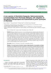 Brachiella New Species & Genus Reclassification