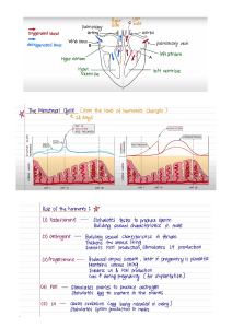 Photosynthesis, Adrenaline, Menstrual Cycle & Hormones