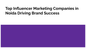 Influencer Marketing Companies in Noida | Sociapa