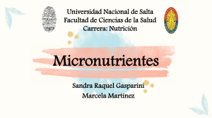 Micronutrientes: Minerales y Electrolitos - Presentación Nutrición