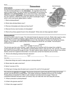 Photosynthesis & Cellular Respiration Worksheet