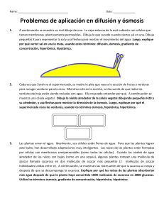 Hoja de Trabajo Difusión y Ósmosis: Problemas de Aplicación
